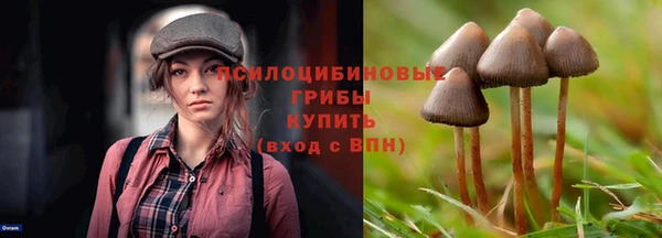 эйфоретик Карпинск