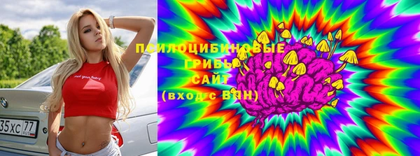 эйфоретик Карпинск