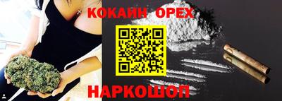 прущие грибы Лесосибирск