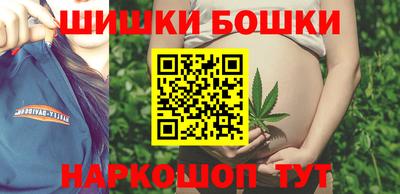 прущие грибы Лесосибирск
