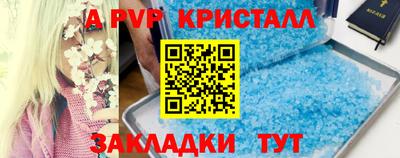 прущие грибы Лесосибирск