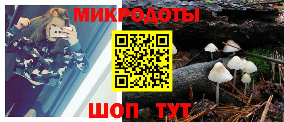 Псилоцибиновые грибы Psilocybe  Каменка 