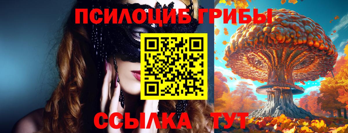 Галлюциногенные грибы мухоморы  Вход с VPN  Каменка 